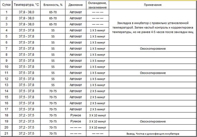 Инкубация куриных яиц режим инкубации таблица в домашних условиях